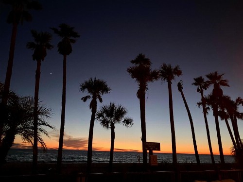 Holiday Inn Resort Panama City Beach an IHG Hotel - image 4