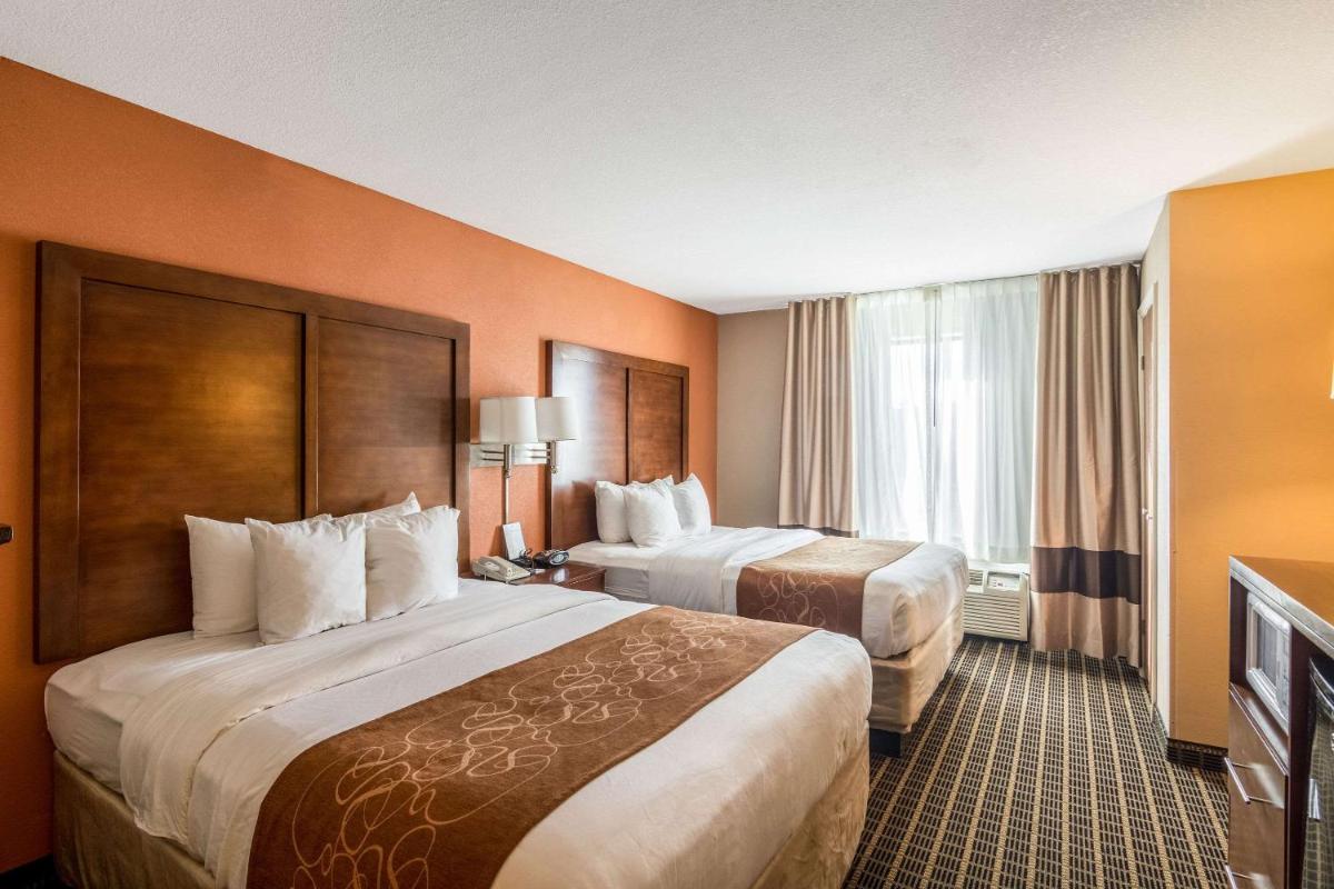 Comfort Suites - image 3