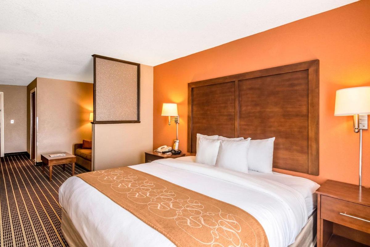 Comfort Suites - image 4