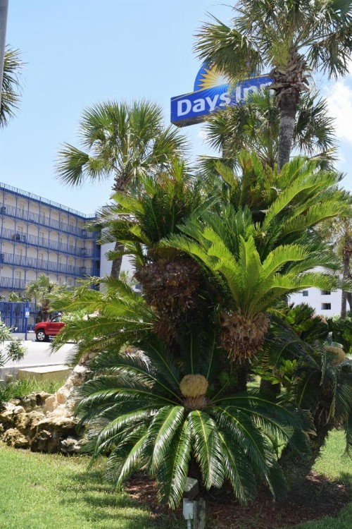 Days Inn by Wyndham Panama City Beach/Ocean Front - image 10