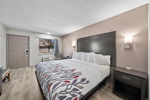 Executive Inn - Panama City Beach - image 10