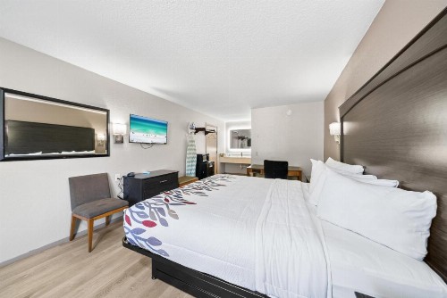 Executive Inn - Panama City Beach - image 18