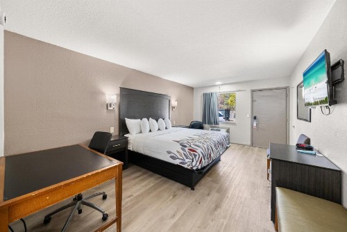 Executive Inn - Panama City Beach - image 41