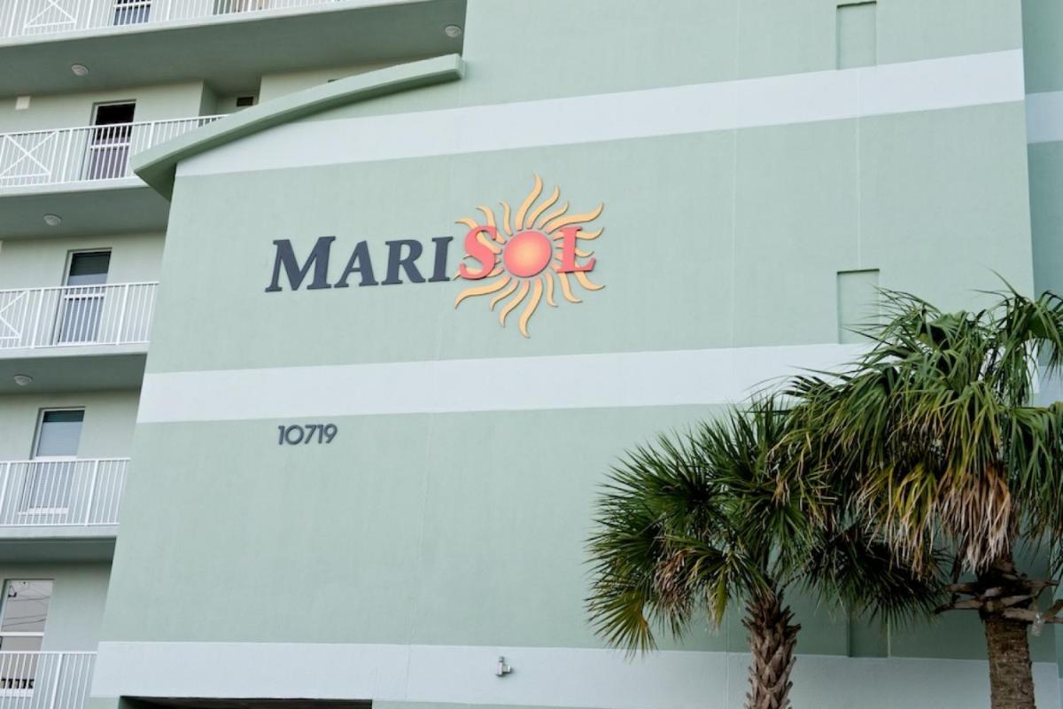204 Marisol - image 4