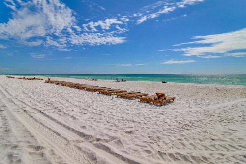The Top of the Gulf #818 - image 9
