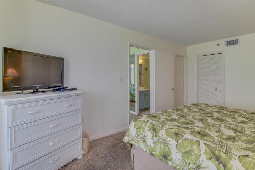 Sunbird #705W - image 7