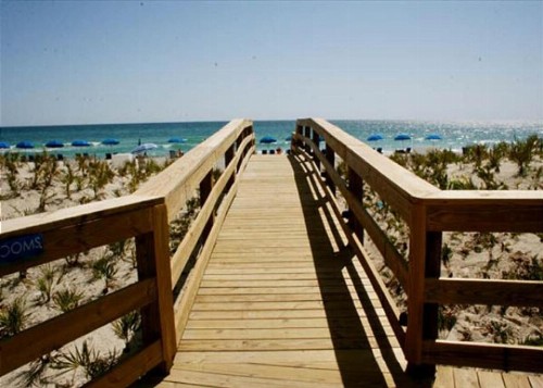 Emerald Beach 2032 - image 13