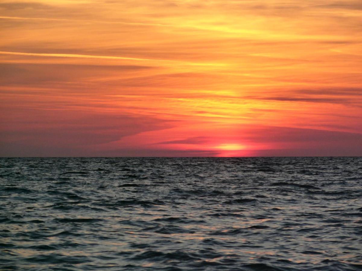 Tidewater 1516 - image 4