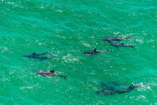Village of South Walton 219- Shot of Paradise by Real Joy Vacations - image 8