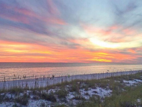 Coastal Dreams by RealJoy Vacations - image 7