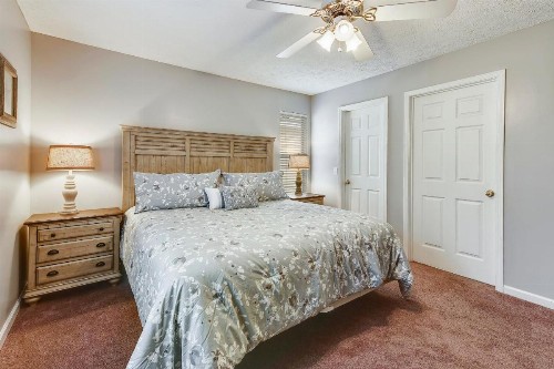 Seashells on Seashore by Book That Condo - image 5