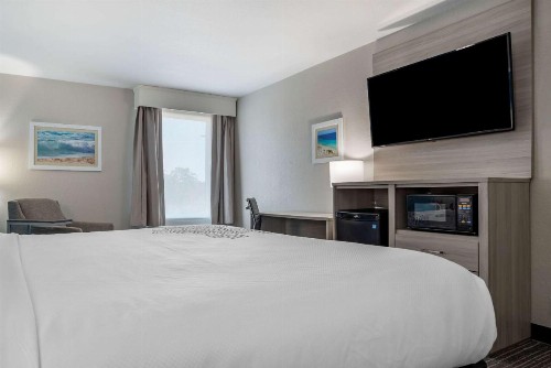 Best Western Plus Panama City Hotel - image 4