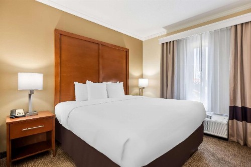 Comfort Suites Panama City near Tyndall AFB - image 19