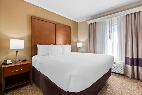 Comfort Suites Panama City near Tyndall AFB - image 25