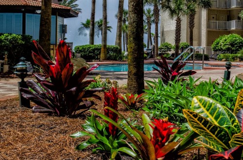 Shores of Panama Resort - image 19