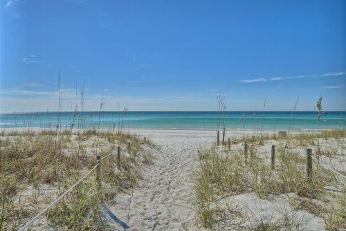Dunes of Panama - image 2