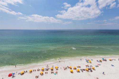 Treasure Island 1004 - image 9