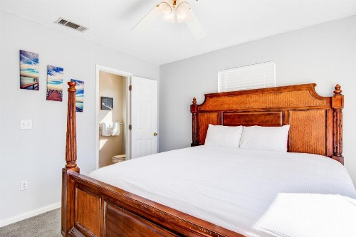 Panama City Beach Seabatical - image 11