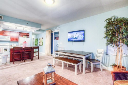10th FLOOR! Beautiful 3 BD Great Amenities And Great Location - image 7