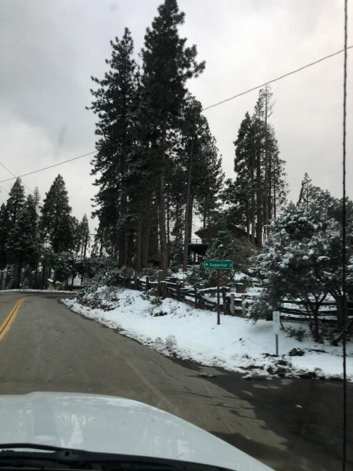 sequoia National Forest cabin H - image 8