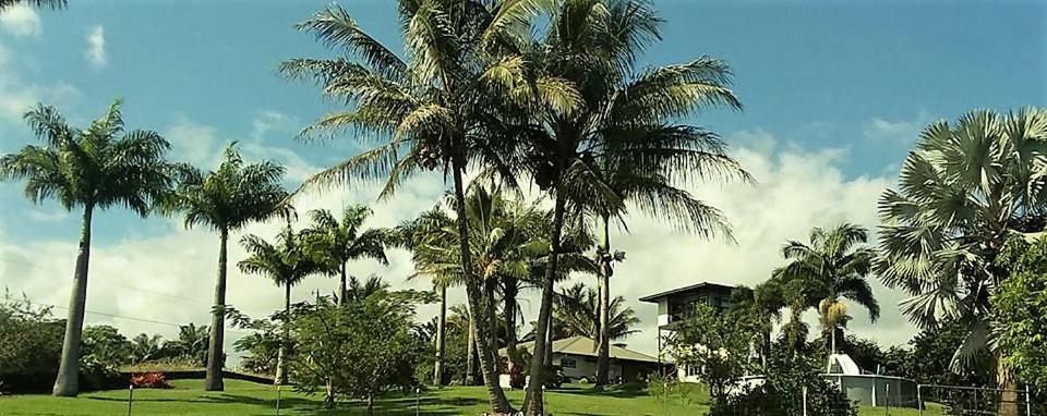 Island Goode's - Luxury Adult Only Accommodation near Hilo - main image