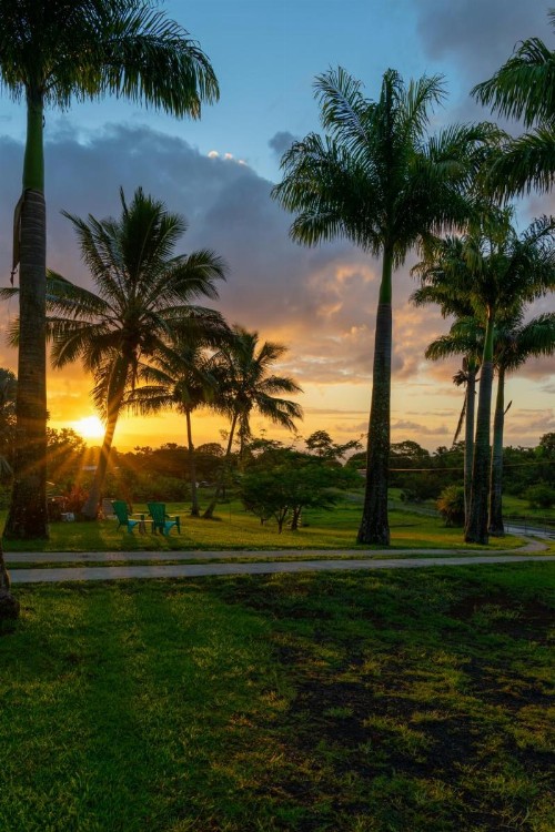 Island Goode's - Luxury Adult Only Accommodation near Hilo - image 15