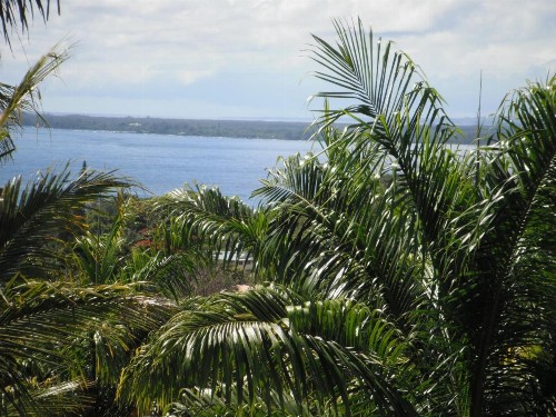 Island Goode's - Luxury Adult Only Accommodation near Hilo - image 24