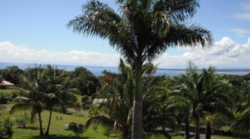 Island Goode's - Luxury Adult Only Accommodation near Hilo - image 40