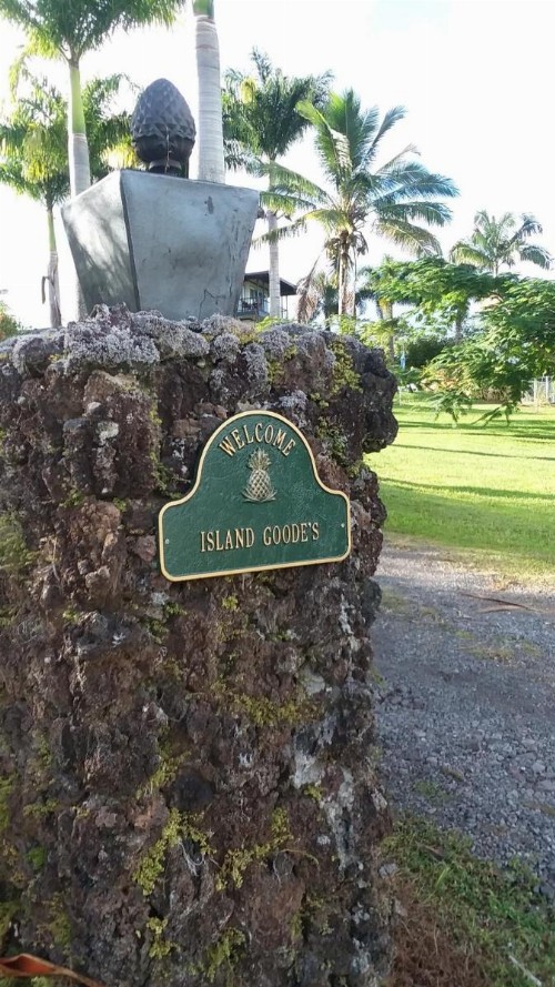 Island Goode's - Luxury Adult Only Accommodation near Hilo - image 45