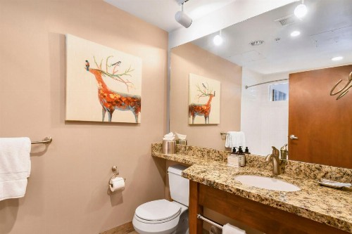Sundial Lodge Park City - Canyons Village - image 35