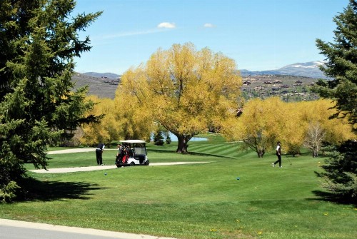 Crescent Ridge by White Pines - image 17