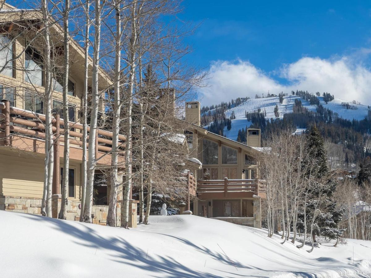 Twin Pines Apartment - image 6
