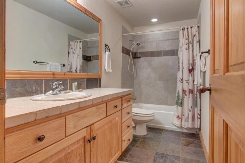 Big Bear Hollow House - image 11