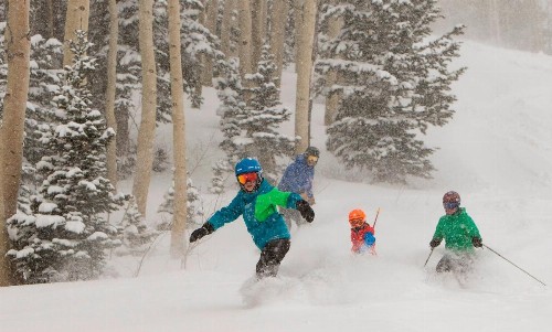 Grand Summit G446 - image 9