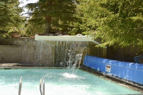 Red Pine at the Resort - image 5