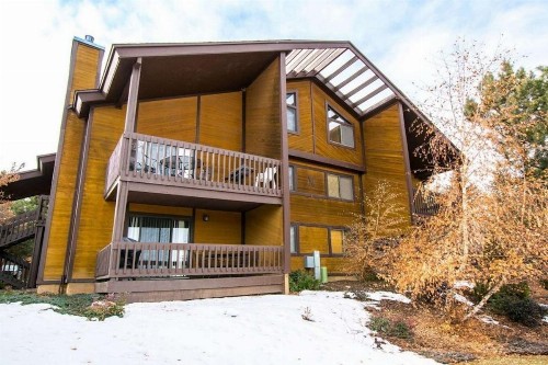 Red Pine at the Resort - image 7