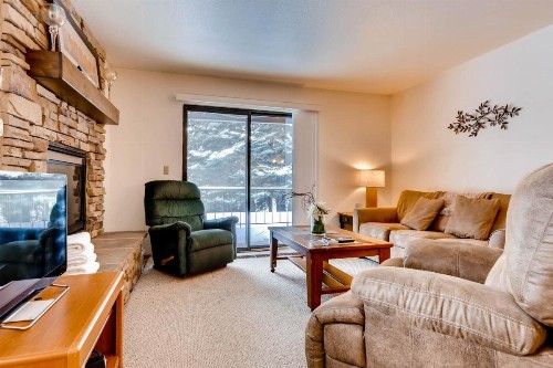Red Pine #B1 - image 3