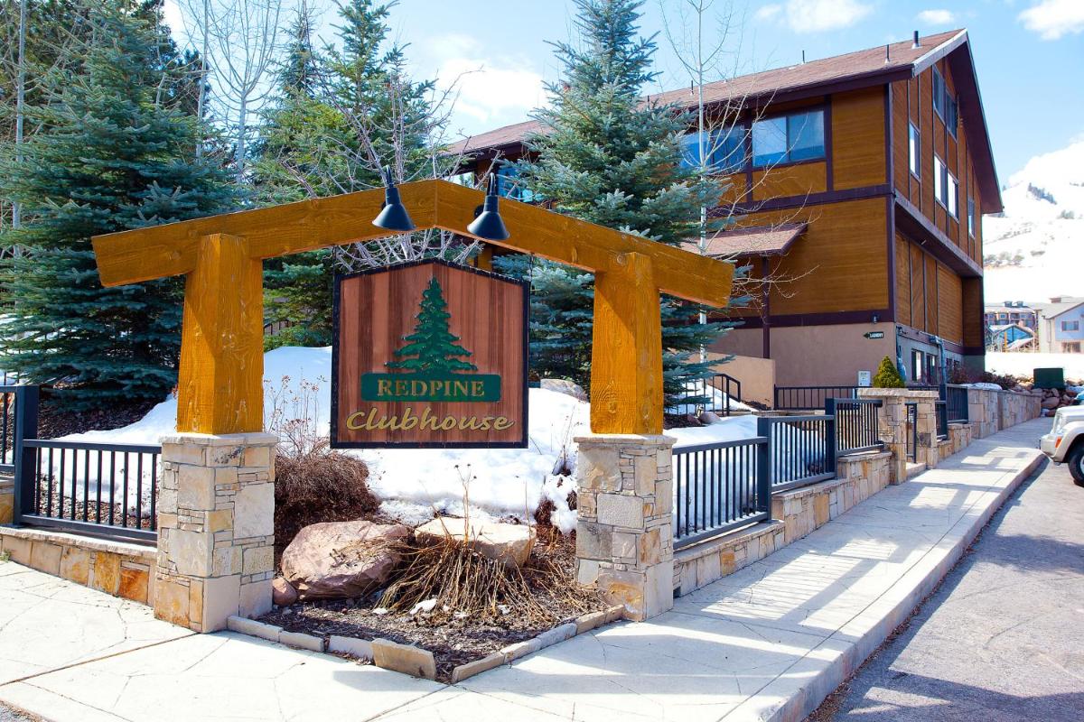 Red Pine #B1 - image 6