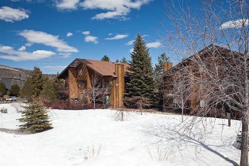 Red Pine #B1 - image 9