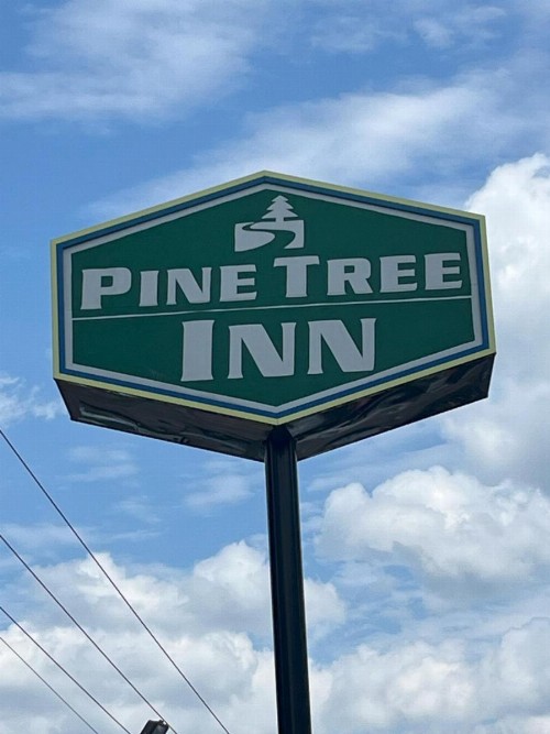 Pinetree Inn - image 2