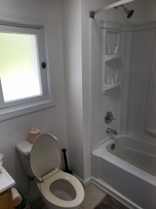 Pinetree Inn - image 26