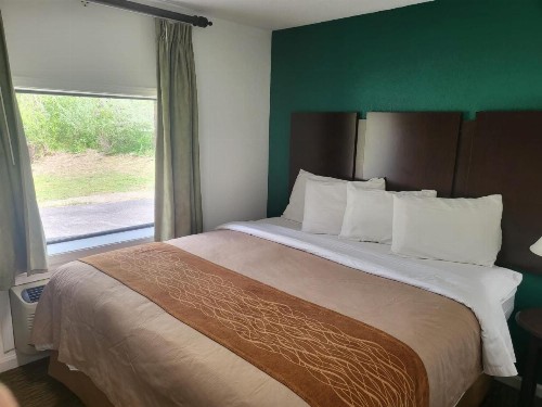 Pinetree Inn - image 34