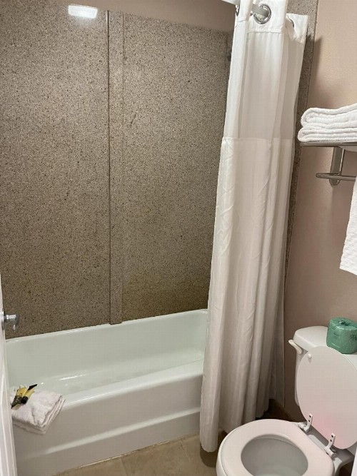 Pinetree Inn - image 38