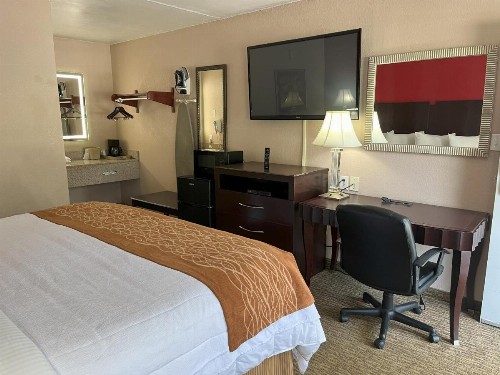 Pinetree Inn - image 40