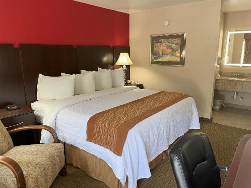 Pinetree Inn - image 41