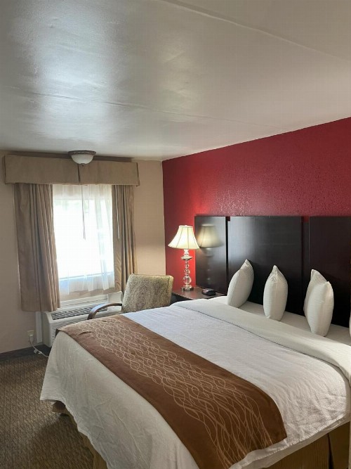 Pinetree Inn - image 42