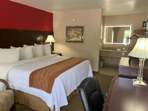 Pinetree Inn - image 43