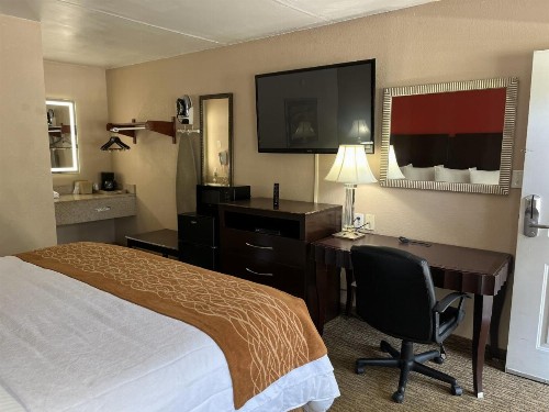 Pinetree Inn - image 46