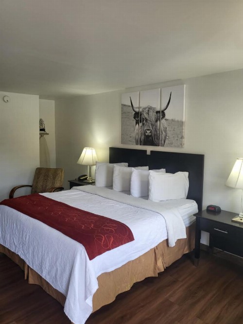 Pinetree Inn - image 49
