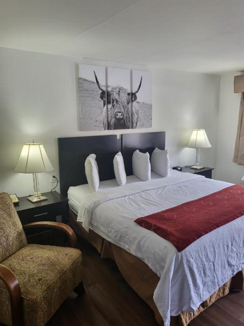 Pinetree Inn - image 50